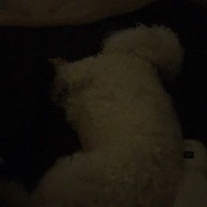 Meet your Posher, Deborah